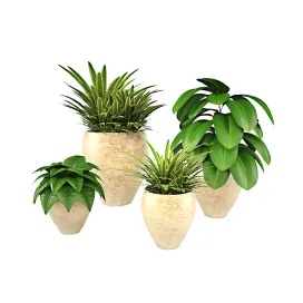 Set of homeplants
